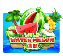 Wild Water Melon
